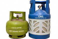  Dari Minyak Tanah ke LPG 3 Kg, Lalu ke CNG 3 Kg?
