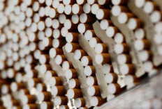  Rokok: Dilarang Jual Ketengan, Kalau Beli?