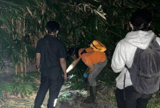 Montir Bengkel Ditemukan Meninggal di Hutan Girimaya, Polisi Sebut Tak Ada Tanda-Tanda Kekerasan