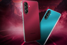 Samsung Galaxy M67 Pakai Chip Exynos Kelas Atas