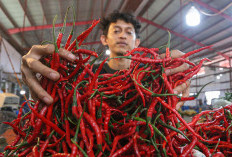 Ini Penyebab Meroketnya Harga Cabai dan Bawang