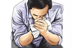  Nihil Afirmasi untuk Honorer, Ada Tes CPNS 2026