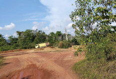 Truk Angkut Tanah Buat   Jalan Kotor & Berdebu!