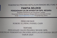 Ini Dia 40 Fomasi CPNS Pemrov Bangka Belitung, Lengkap Penempatan dan Kualifikasi Pendidikan