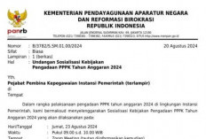 KemenPAN-RB Sosialisikan Pengadaan PPPK 2024, Pendaftaran Dibuka Agustus?