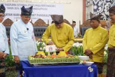 Paripurna Istimewa HUT Kota Pangkalpinang, Hertza: Semakin Matang