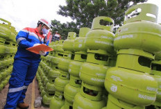 Bambang Patijaya Ingatkan Pertamina dan PLN