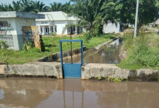 Pengairan Sawah Rias Diduga Tercemar Tambang Inkonvensional