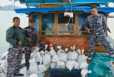 Lanal Babel Gagalkan Penyelundupan 143 Karung Timah