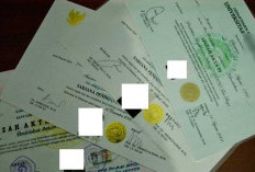 Kasus Ijazah Palsu, Duitnya Mengalir Jauh, Konon Sampai ke Dikti?