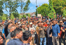 Ribuan Warga Desak Bupati Cabut Izin HTI PT. BRS