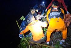 Bocah Korban Terkaman Buaya Ditemukan Kondisi Meninggal Dunia 