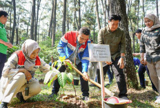 Pertamina Kuatkan Ekosistem Flora Fauna di Sumbagsel