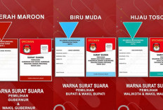 Simak 3 Jenis Surat Suara di Pilkada Serentak 2024!