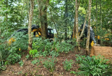 Satgas Sita 39 Unit Alat Berat, Timahnya Kemana? Bola Panas di Kejati