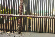 Hadapi Demo, Pagar DPR RI Dilumur Oli