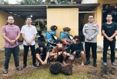Kawanan Pencuri Sawit Kedapatan Simpan Sabu 