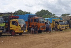 Arus Mudik di Tanjung Kalian Babar, Puncaknya, Hari ini!