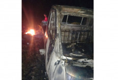 Mobil Grandmax Milik Debby Hanggus Terbakar