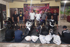  Tim Kelambit Bekuk Lima Pencuri Timah Sleg PT KJM Merawang: Hasil Buat Beli Narkotika