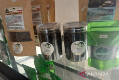 ASDP Promosikan Produk IKM Babar