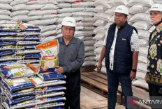 Anggota DPD RI Minta Bulog Belitung Jaga Stabilitas Harga Pangan