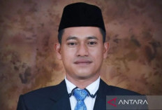 DPRD Bangka Selatan Kawal Progres Problem Perbedaan Harga TBS Sawit