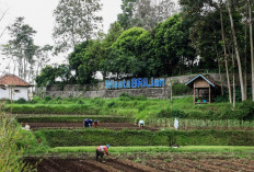 BRI Jangkau 5.245 Desa BRILiaN