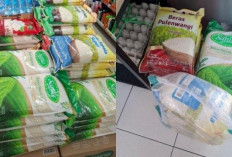 Pemprov Kerahkan Tim Khusus Awasi Beras Oplosan