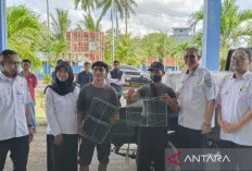 Dinas Perikanan Belitung Salurkan Bantuan Alat Tangkap untuk Nelayan