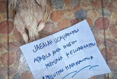 Aktivis Diteror Bangkai Ayam