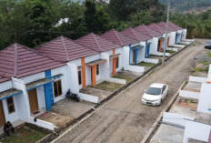 55.532 Warga Kota Belum Miliki Rumah