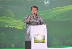 Di Forum ESG, Hashim Apresiasi PLN 