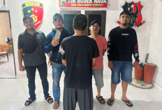 Nyolong HP, Karyawan BUMN Diringkus