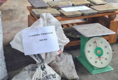 Nah? Merk Timbangan di Lokasi Peleburan Timah Illegal Bangka Selatan: BUMDes Tukak...