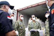 Kejagung Usut Pengiriman PT PMM yang Lolos, 15 Kontainer Ditahan!