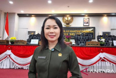 Maskapai Scoot akan Layani Rute Singapura - Tanjungpandan