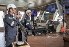 TINS Bukukan Laba Bersih Rp 300 Miliar