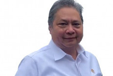 Program Magang Nasional Pemerintah, Untuk Fresh Graduate