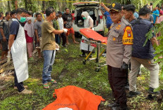 Geger! Mayat Terikat di Pohon Sawit