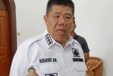 Gubernur Babel Ingin Satgas Timah Rangkul Masyarakat