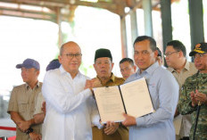 Harga Timah SN 70 Persen Rp 300 Ribu Per Kilogram