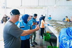 PLN Pastikan Pasokan Andal Tambak Udang