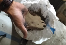  Satgas Halilintar Sita Timah Hingga Zircon, Asui & Dedi Terseret?