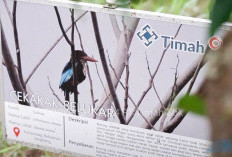 PT Timah Tbk dan PPS Alobi Rawat dan Kembalikan Satwa ke Alam Bebas