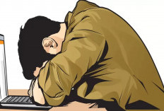 Masuk ke PPPK Paruh Waktu, 66.495 Honorer Ditolak 