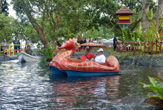 Tins Green Garden Foresttree Diresmikan Ruang Terbuka Hijau Ramah Anak