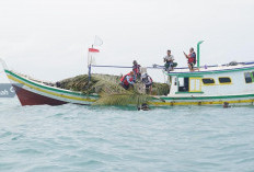 Kelompok Nelayan PT Timah dan Batu Kemiri Kerahkan Puluhan Alat Pengumpul Ikan di Bangka Tengah