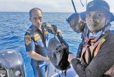 Heli Mabes Polri Jatuh 2 Tahun Lalu di Perairan Beltim, Kembali Dicari, Fokus Bodi Heli