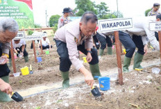 Dukung Swasembada Pangan Polda Babel Tanam Jagung